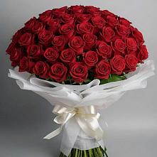Букет 101 Красная роза Блэк Мэджик в Елизаветинском