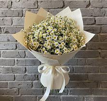 Букет цветов из:  Ромашки в Елизаветинском