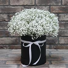 Цветочная композиция из Гипсофила в шляпной коробке #REPLACE_PRED# Елизаветинском